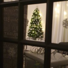 Малышки собрались на детскую Ёлку🥰