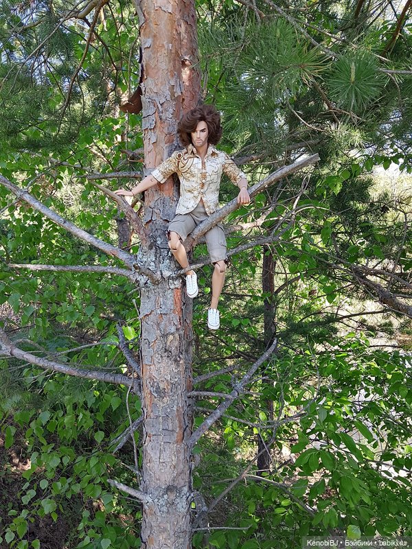 Фернандо или Интегрити тоже пересаживают (фото 10)