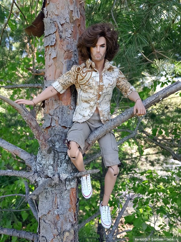 Фернандо или Интегрити тоже пересаживают