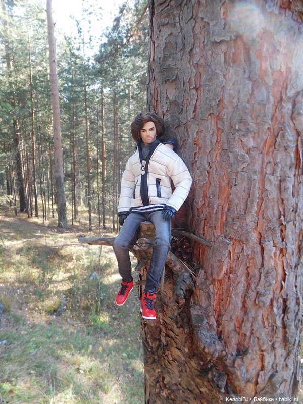 Фернандо или Интегрити тоже пересаживают (фото 5)