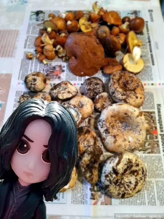 Севка и грибы — Коллекционные фигурки (разное): животные