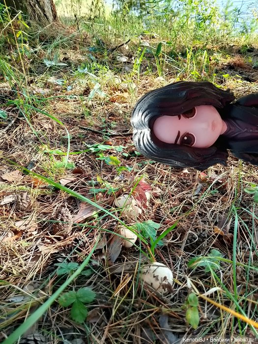 Севка и грибы — Коллекционные фигурки (разное): животные