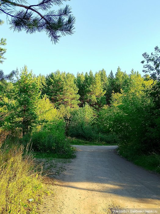 Севка и грибы — Коллекционные фигурки (разное): животные (фото 4)