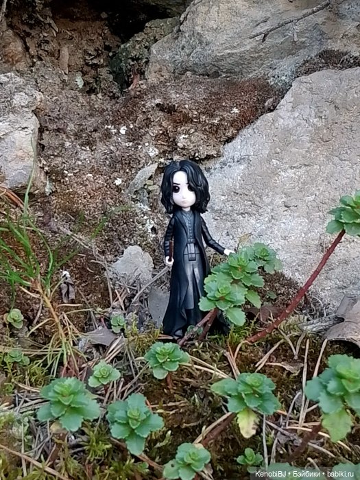 Севка и грибы — Коллекционные фигурки (разное): животные (фото 10)