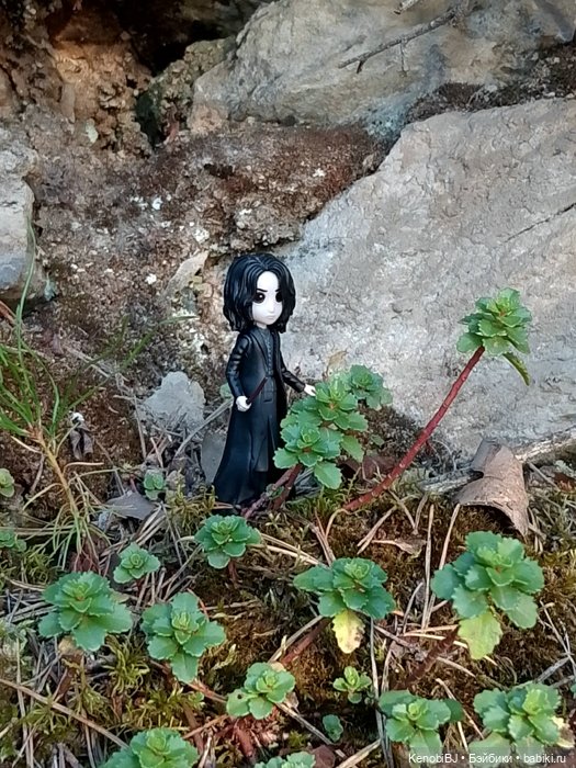 Севка и грибы — Коллекционные фигурки (разное): животные (фото 9)