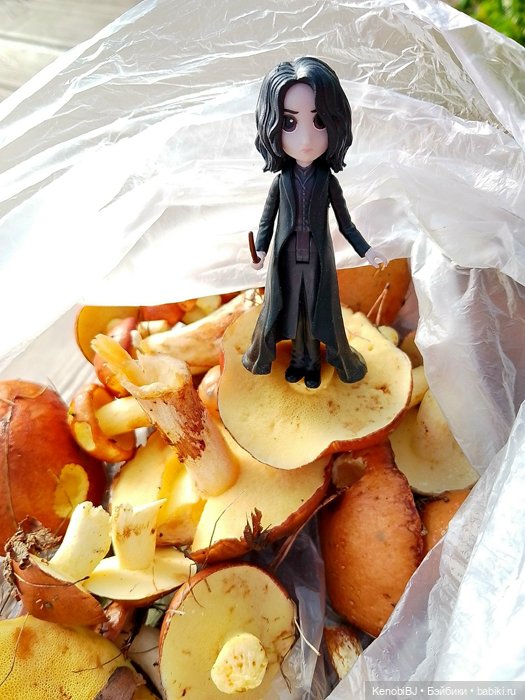 Севка и грибы — Коллекционные фигурки (разное): животные