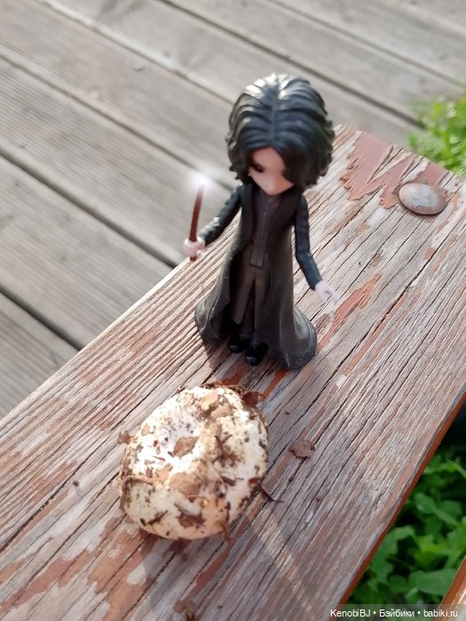 Севка и грибы — Коллекционные фигурки (разное): животные