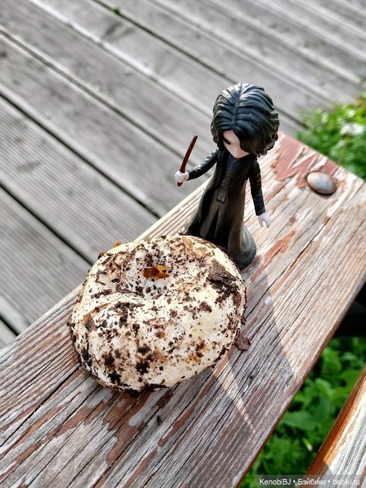 Севка и грибы — Коллекционные фигурки (разное): животные