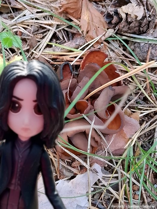 Севка и грибы — Коллекционные фигурки (разное): животные