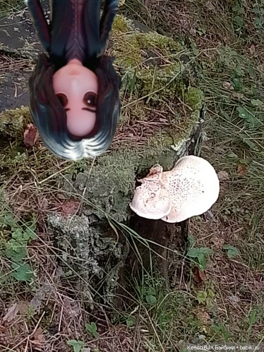 Севка и грибы — Коллекционные фигурки (разное): животные