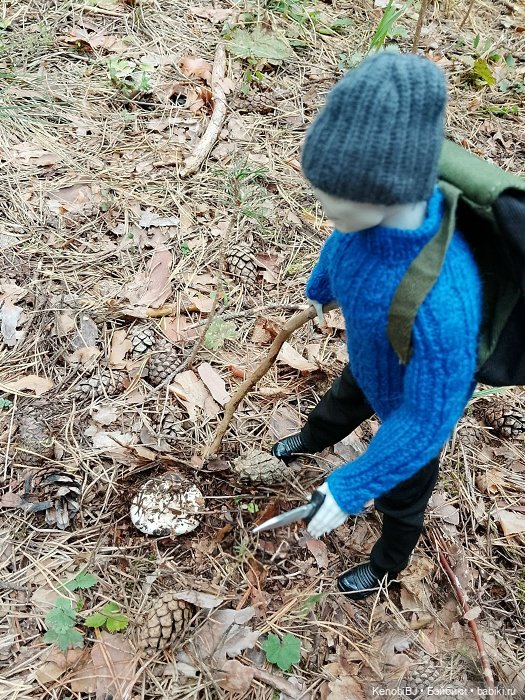 Нед, или Один день из жизни гриболова (фото 2)
