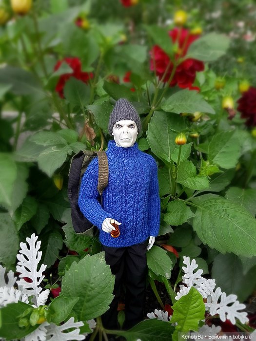 Нед, или Один день из жизни гриболова