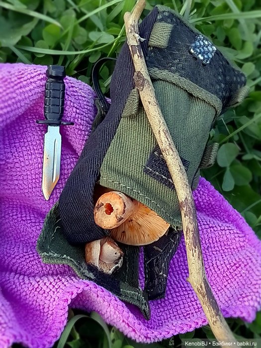 Нед, или Один день из жизни гриболова (фото 10)