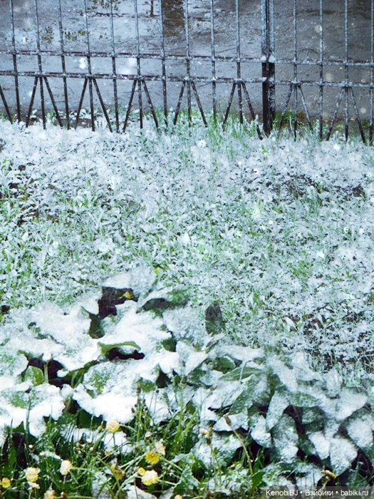 Маевик. Отсутствию снега посвящается (фото 5)