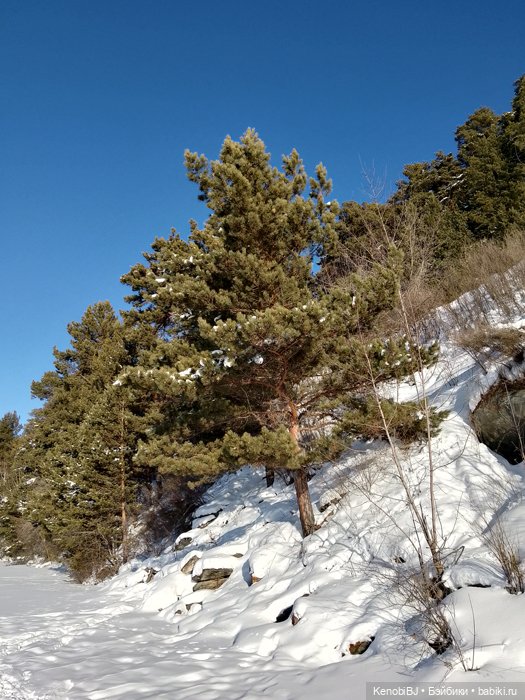 Солнышко на солнышке — Куклы Barbie (Барби): Looks (фото 4)