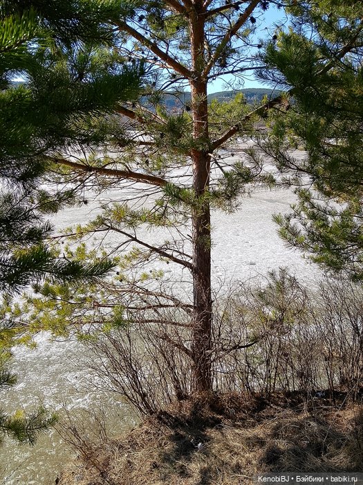 Апрельская прогулка Хави — Портретный репейнт (ООАК) фэшн (фото 2)