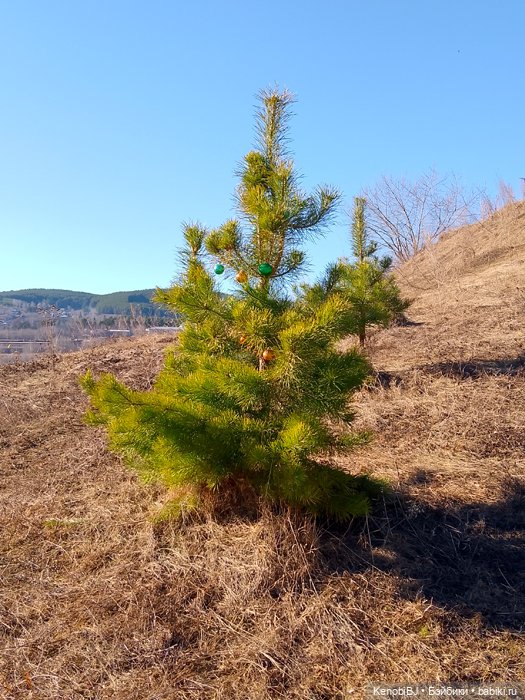 Апрельская прогулка Хави — Портретный репейнт (ООАК) фэшн (фото 6)