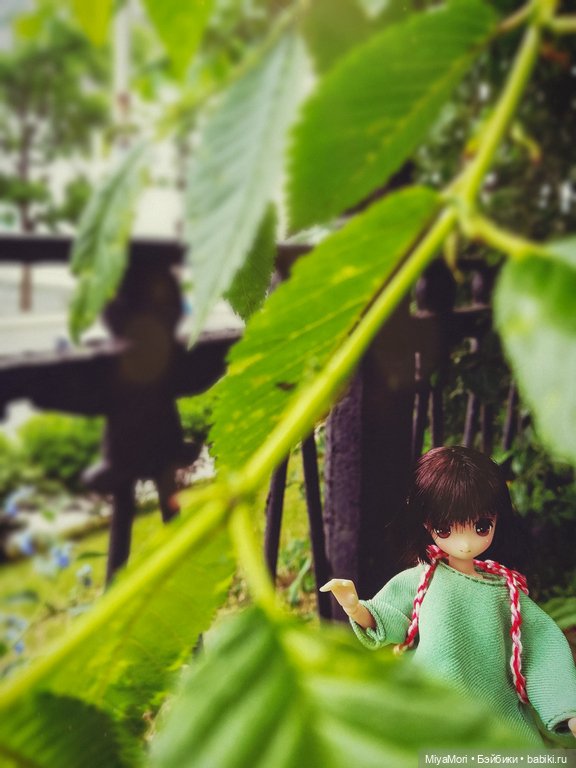 Хибики в солнечном городе