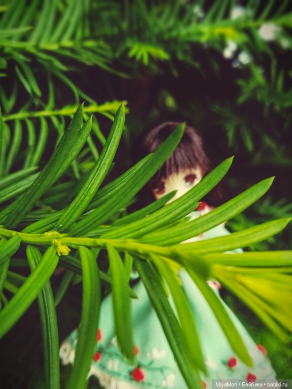 Хибики в солнечном городе (фото 2)