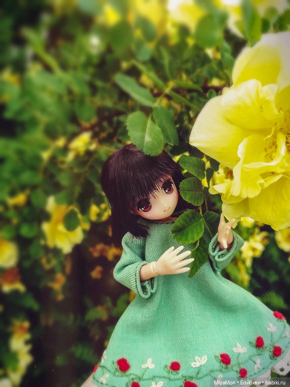 Хибики в солнечном городе (фото 3)