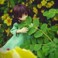 Хибики в солнечном городе