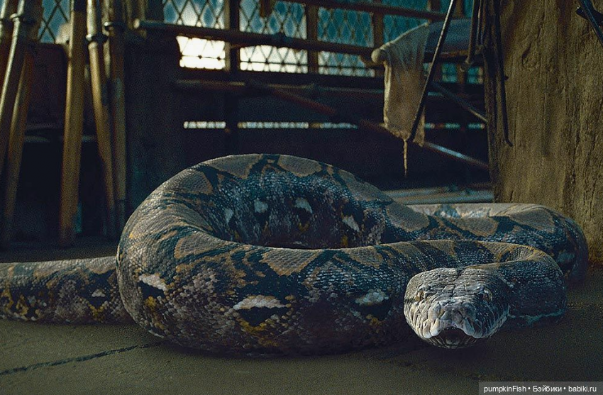 Странные сны Сивиллы — Разные шарнирные куклы (не БЖД): редкие (фото 3)