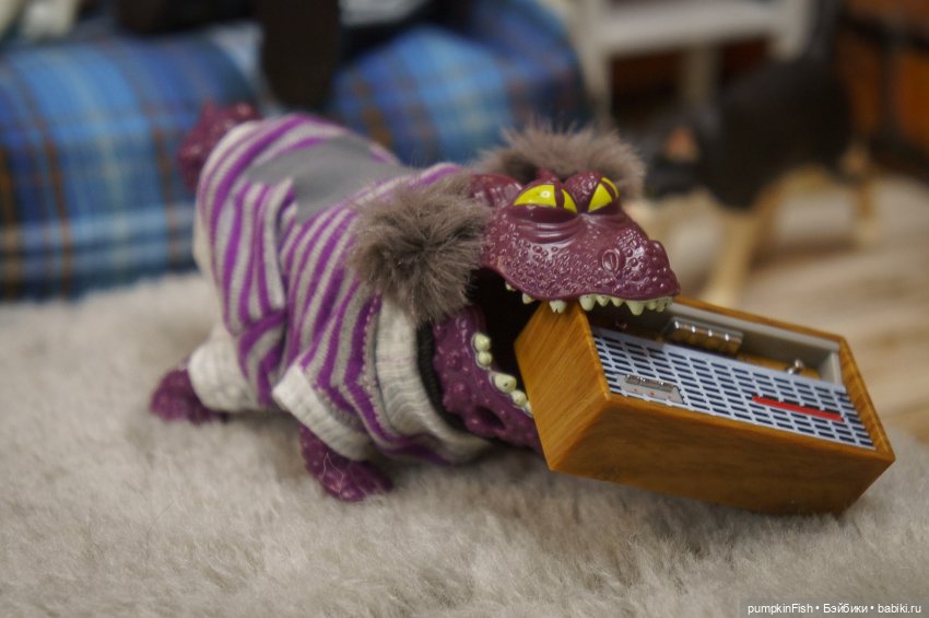 Обычный вечер в берлоге у Кильки (фото 6)