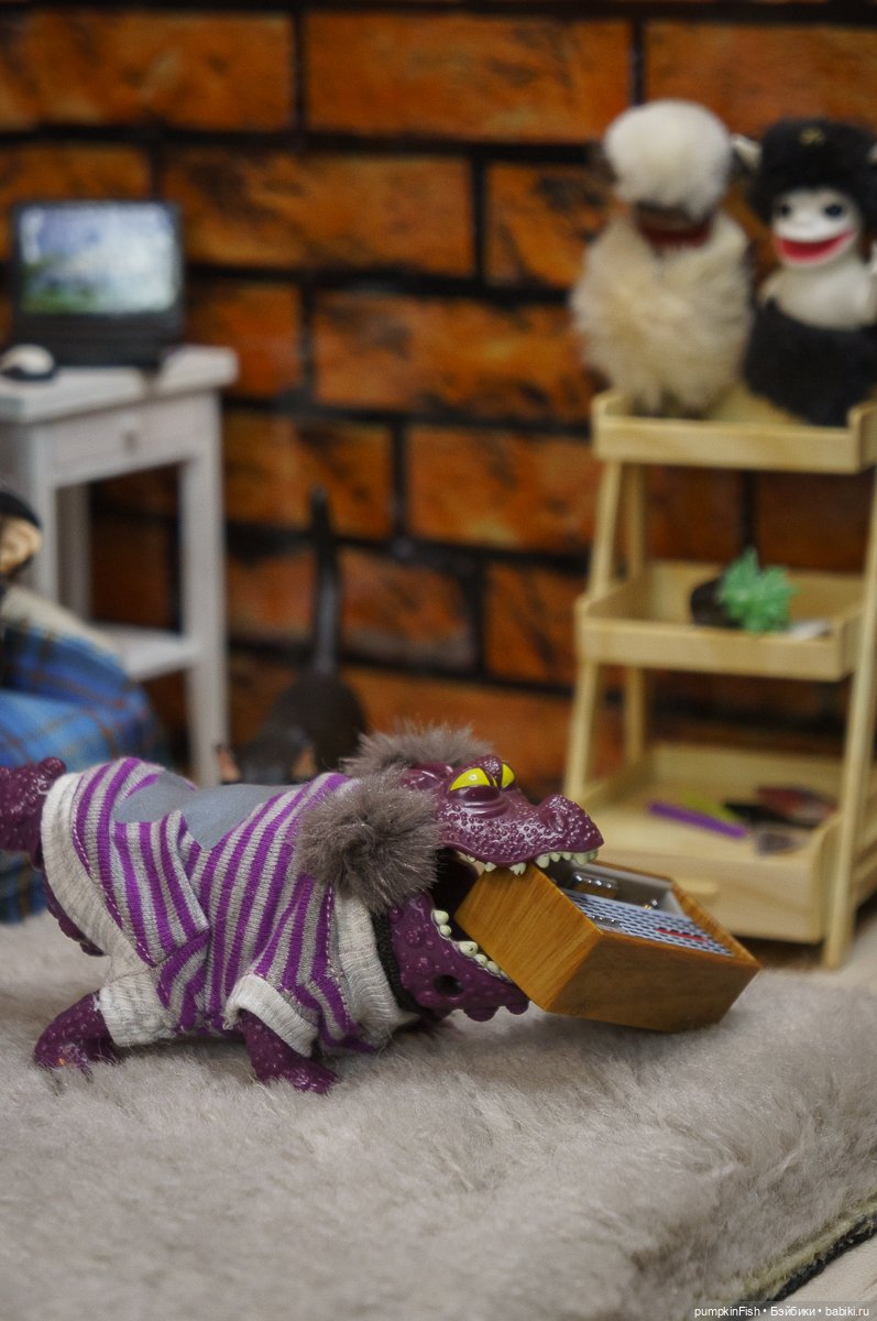 Обычный вечер в берлоге у Кильки (фото 5)