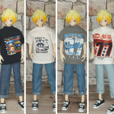 Футболка и брюки\бриджи\шорты для Сицилийских псов