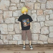 Футболка и шорты для Сицилийских псов