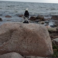 Короткая поездка в Швецию. Тролль на острове Оланд