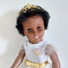 У меня поселилась принцесса Тиана