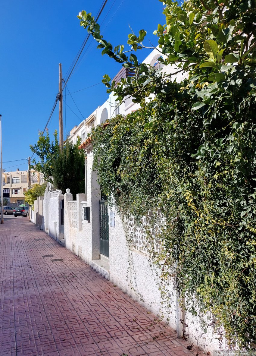 Приключения хуано - паолки в Испании (фото 7)