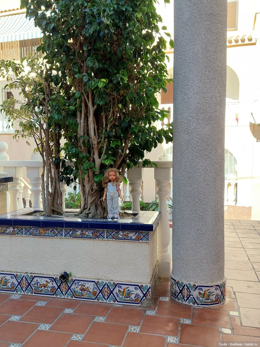 Приключения хуано - паолки в Испании (фото 4)