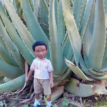 Испанская зима