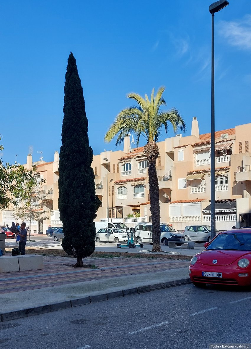 Тензин на прогулке — Куклы Berdine Creedy (Бердин Криди): виниловые