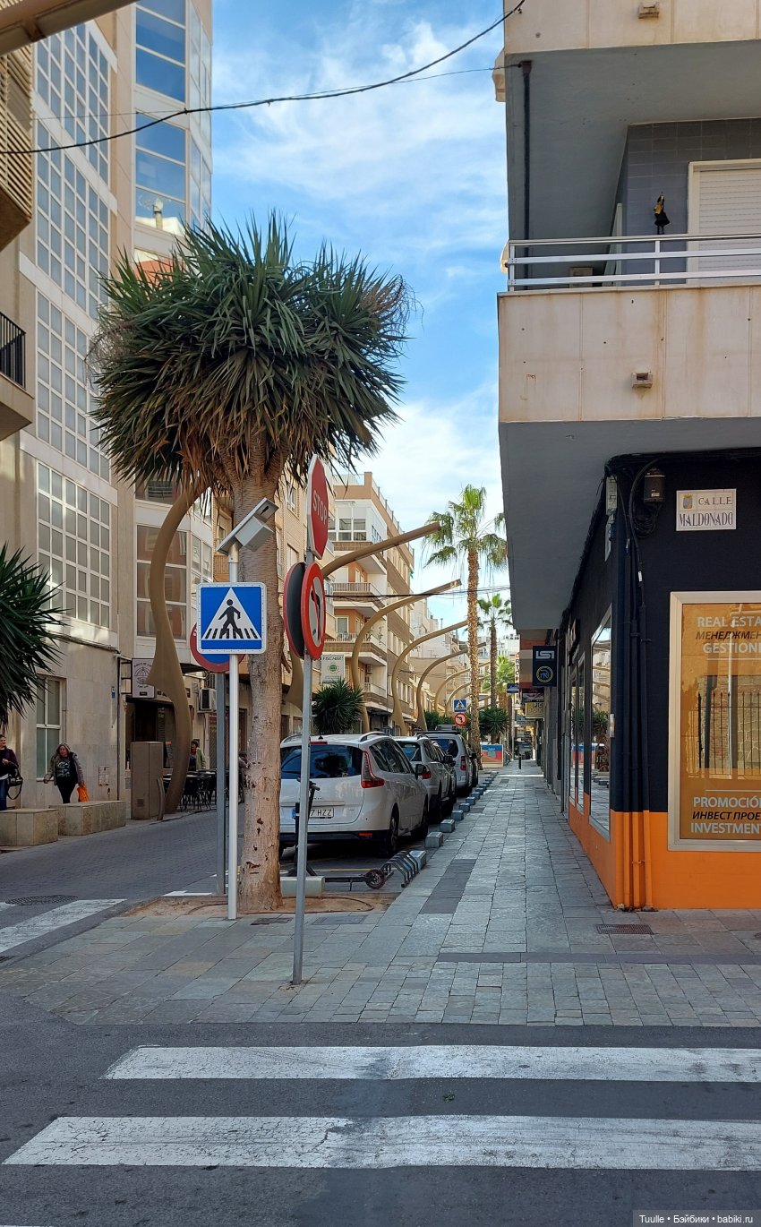 Тензин на прогулке — Куклы Berdine Creedy (Бердин Криди): виниловые