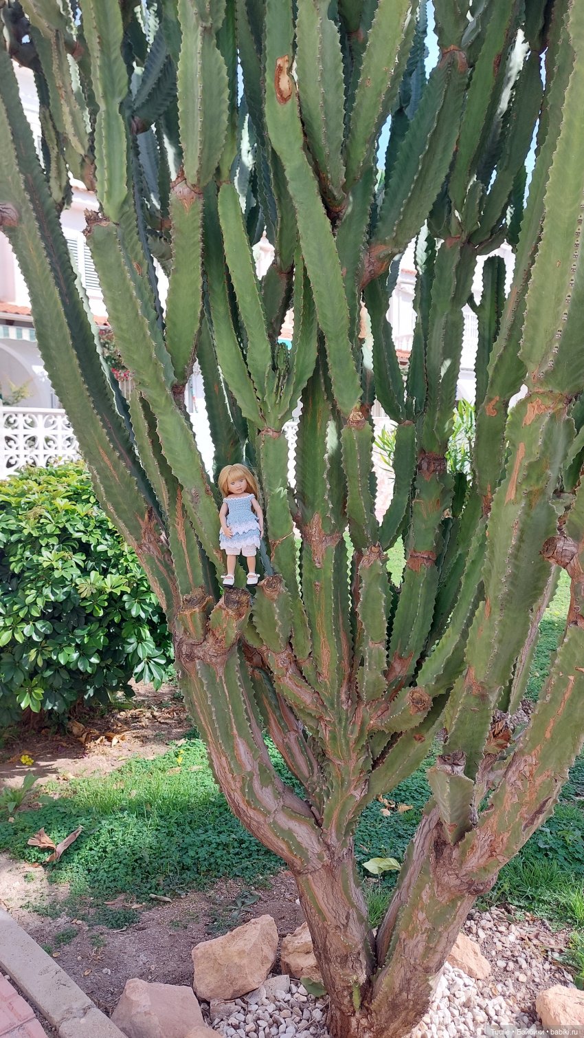 Один день из жизни Сони — Куклы Berdine Creedy (Бердин Криди): виниловые (фото 3)