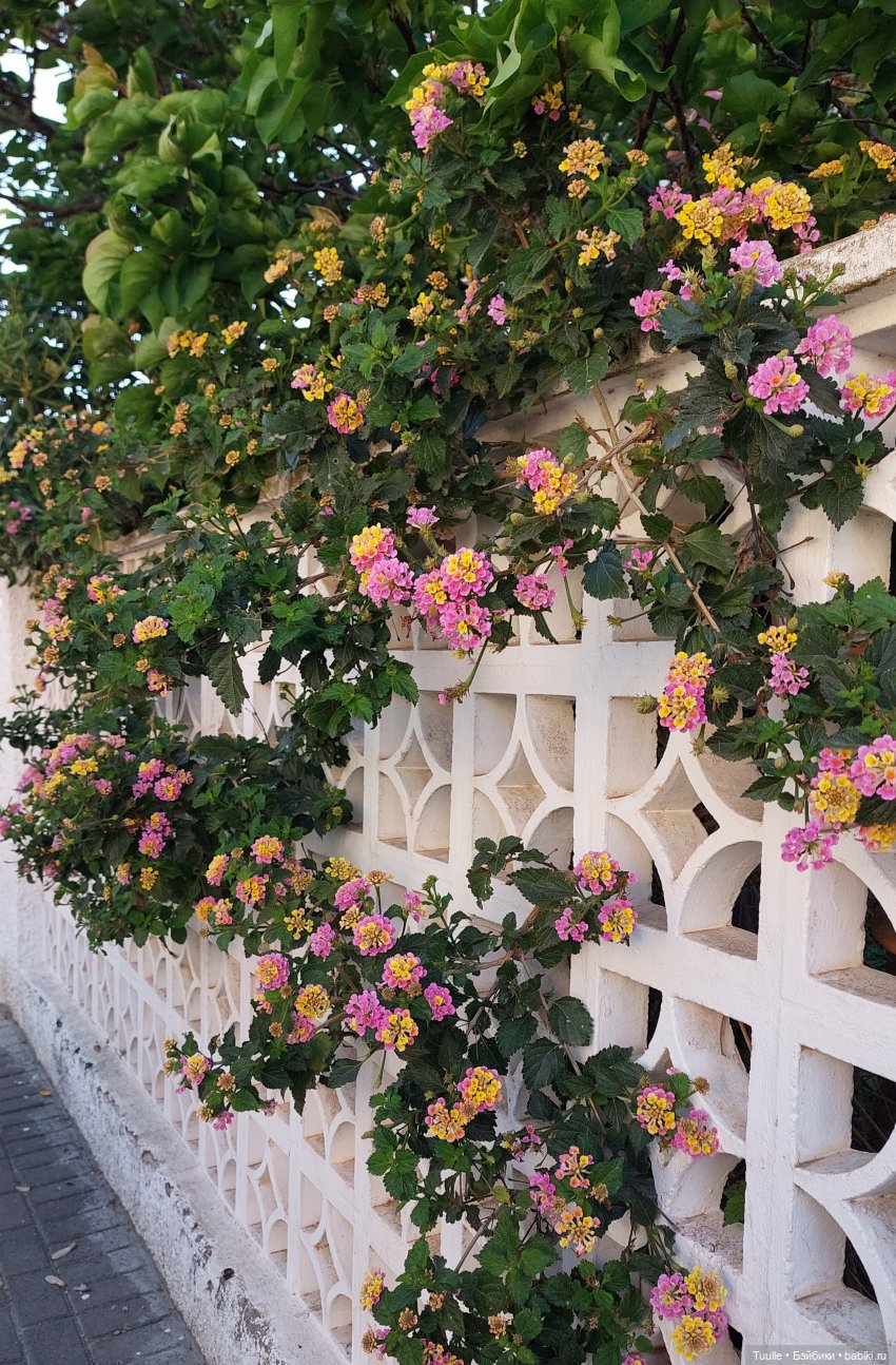 Мио в новом образе — Куклы Nines d'Onil (Нинес): Миа (Mia) (фото 6)