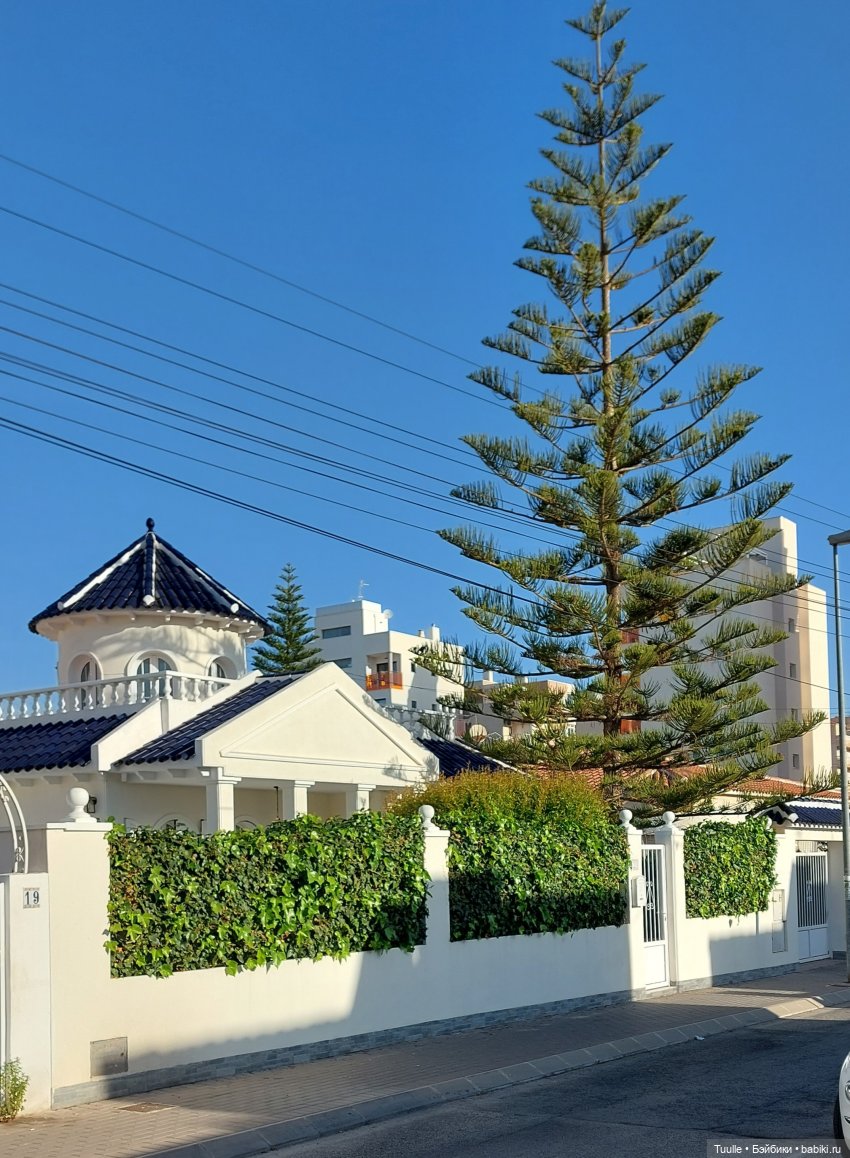 Мио в новом образе — Куклы Nines d'Onil (Нинес): Миа (Mia)