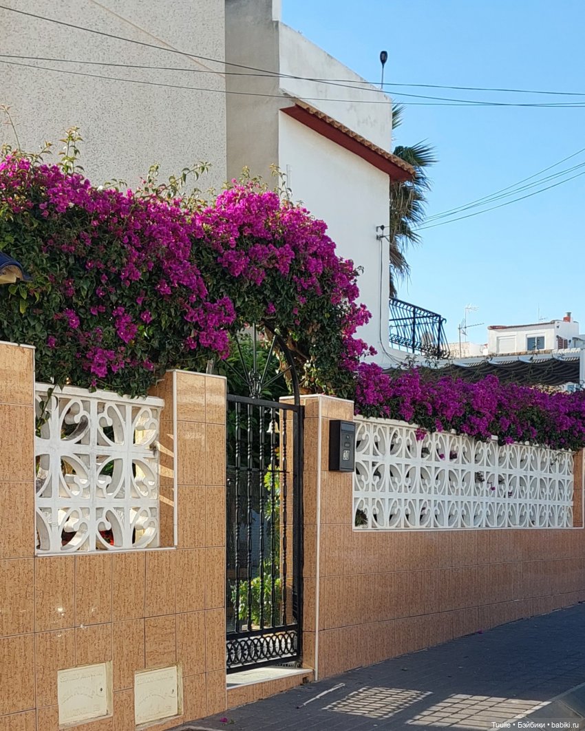 Мио в новом образе — Куклы Nines d'Onil (Нинес): Миа (Mia) (фото 4)