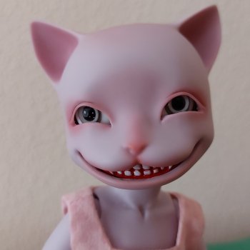 Чеширская кошечка