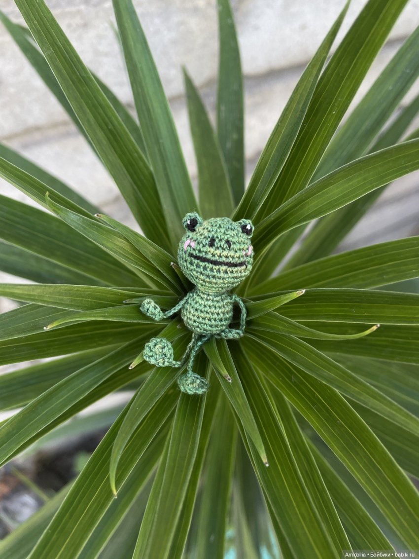 Навязались лягушата — Вязаные игрушки и амигуруми: крючком (фото 8)