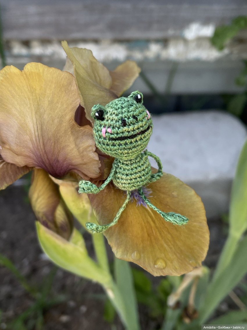 Навязались лягушата — Вязаные игрушки и амигуруми: крючком (фото 7)