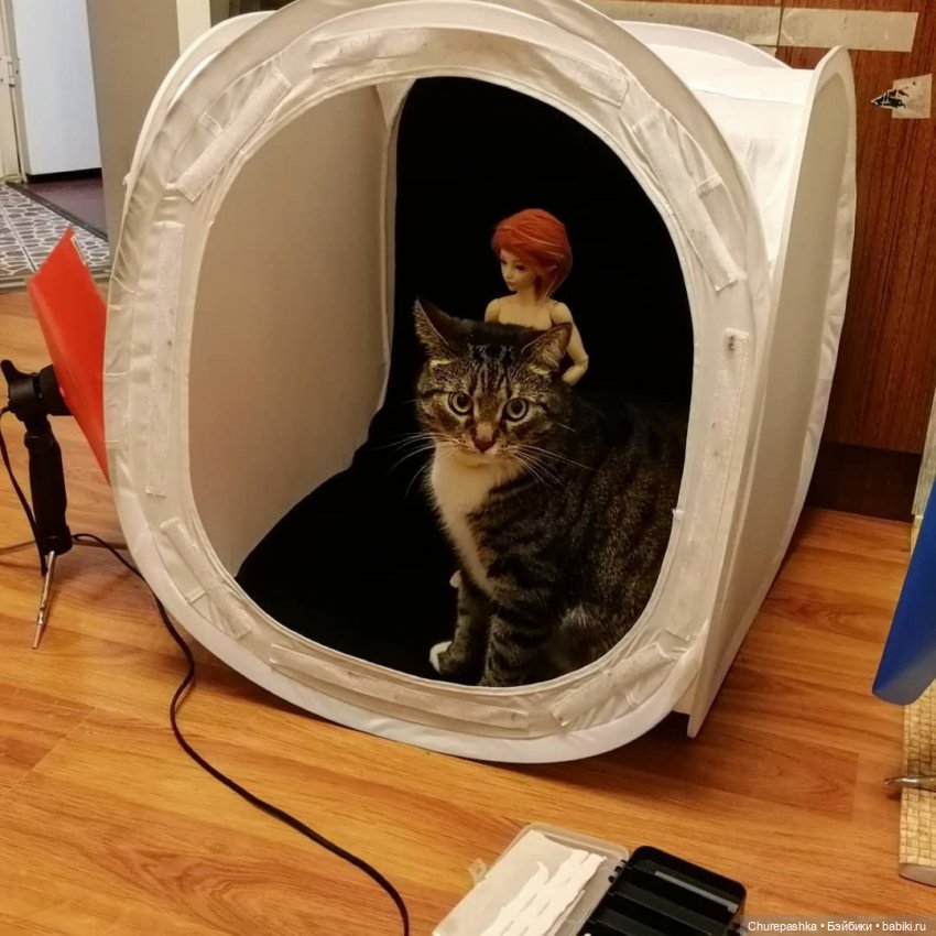 Пятница — Куклы Fairyland (ФэйриЛэнд): BJD (БЖД) (фото 2)