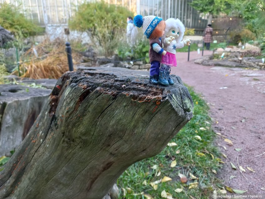 Малышня в ботсаду — Куклы Fairyland (ФэйриЛэнд): BJD (БЖД) (фото 6)