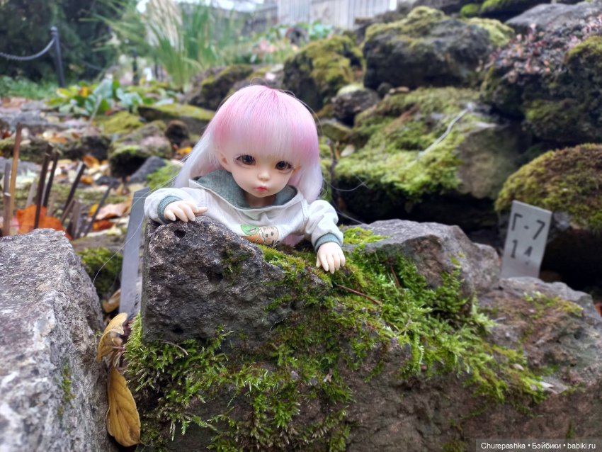 Подружки-антешки — Куклы Fairyland (ФэйриЛэнд): BJD (БЖД) (фото 6)