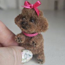 Шоколадный пудель миниатюра для барби и др