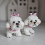 Малыши бишоны миниатюра для кукол