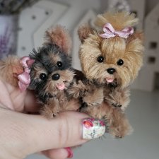 Йорки , бивер йорки и мальтезе для куколок